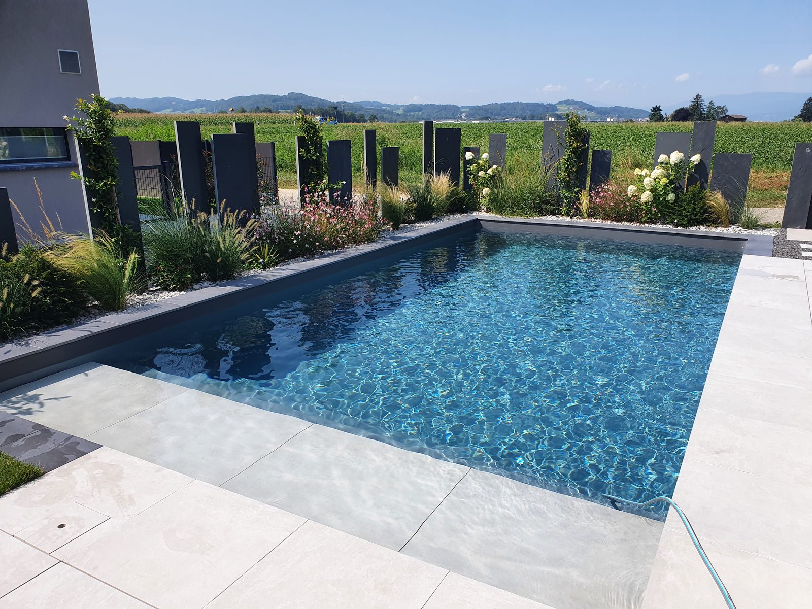 Piscine grise aux reflets scintillants avec plage immergée, graminées et hortensias