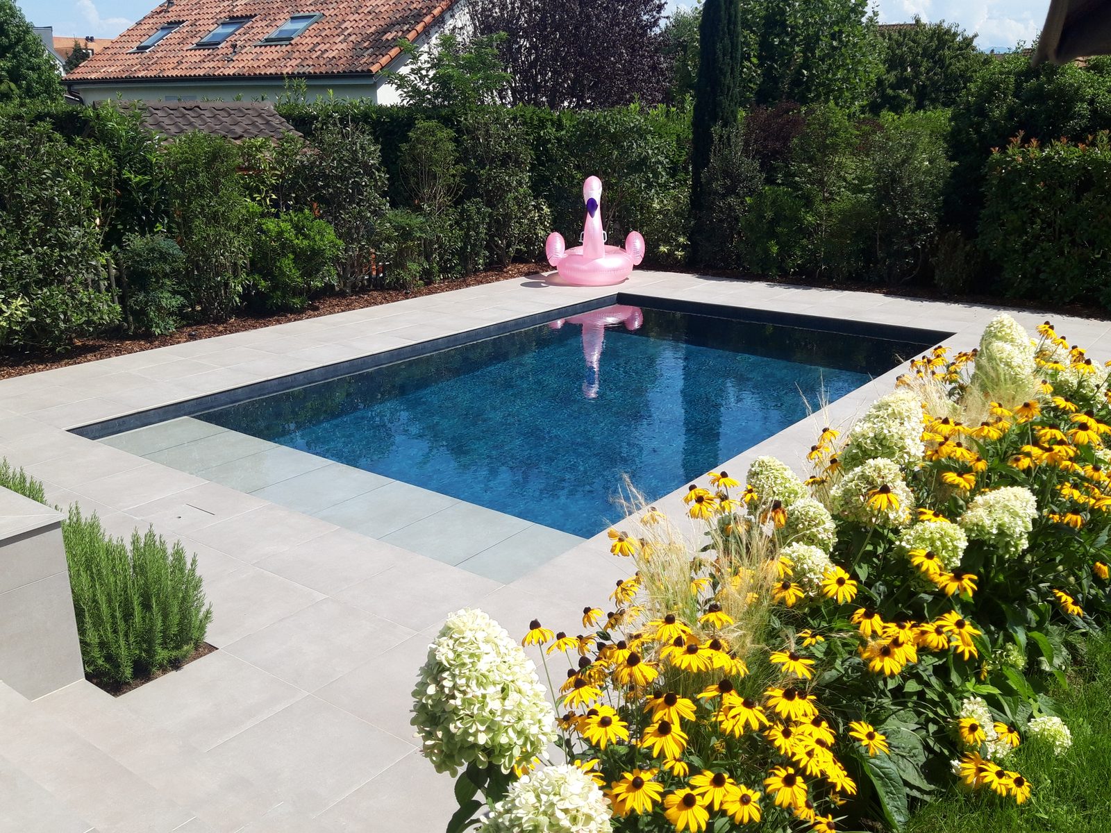 Piscine béton à l'eau bleu profond, terrasse en dalles claires et massifs fleuris