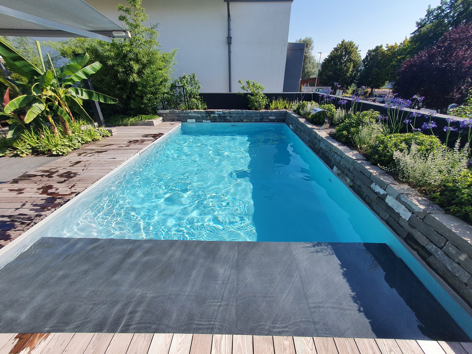 Piscine béton en longueur à l'eau turquoise, bananier et agapanthes en fleur, terrasse bois