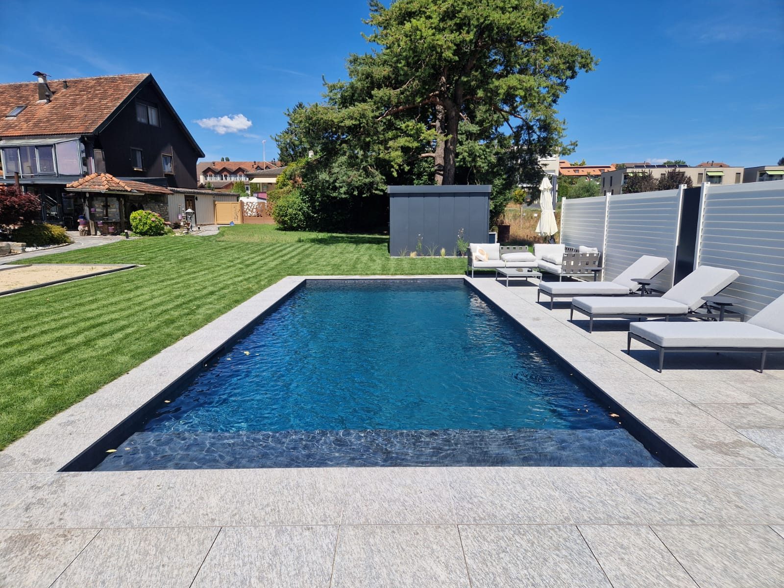 Piscine béton à membrane 3D grise avec plage immergée, transats blancs et grand pin