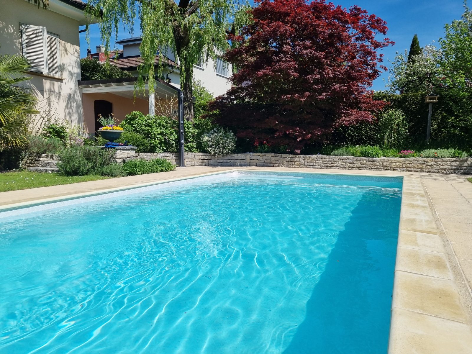 Piscine rénovée en eau turquoise, margelles en pierre et muret en pierres sèches